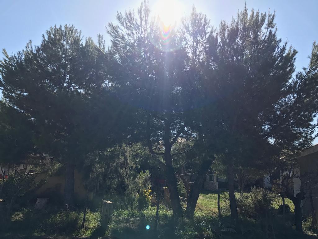 ليتور Casa Rural La Granja المظهر الخارجي الصورة